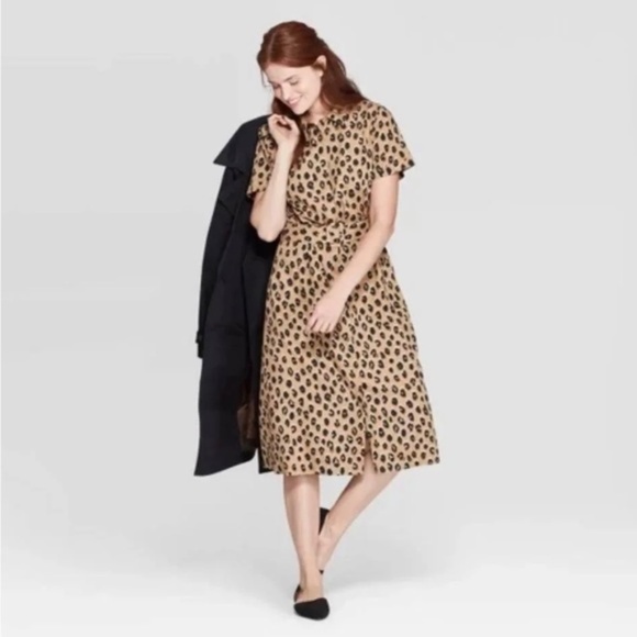 A New Day Knee-Length Leopard Dress with Belt, EUC - Picture 1 of 4